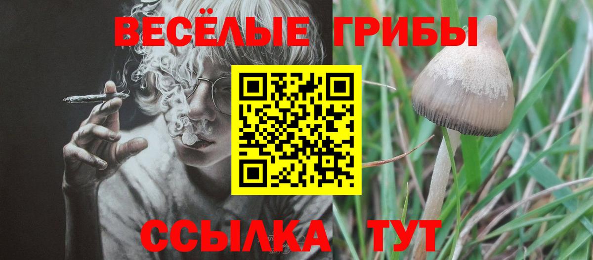 Псилоцибиновые грибы GOLDEN TEACHER Нижнеудинск